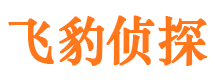 江干市私人侦探